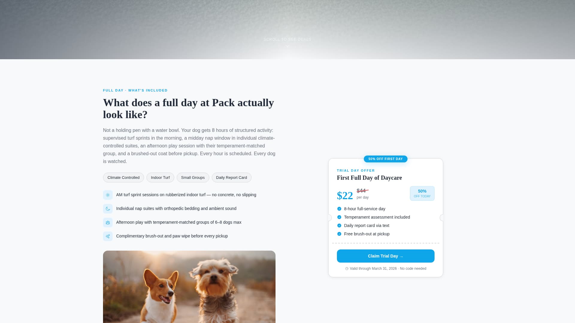 Pack - Premium Dogdaycare Landing Page Template