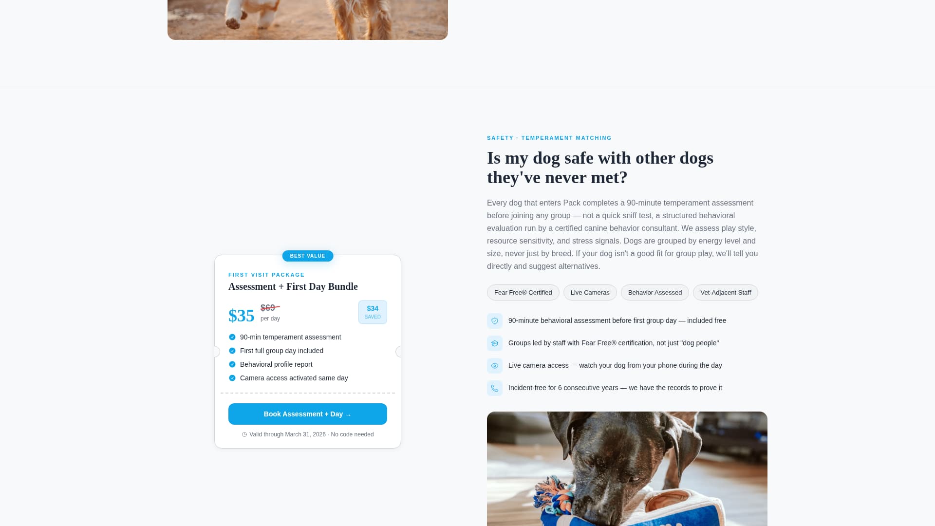 Pack - Premium Dogdaycare Landing Page Template
