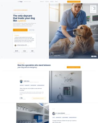 Triage - Precision Veterinary Landing Page Template