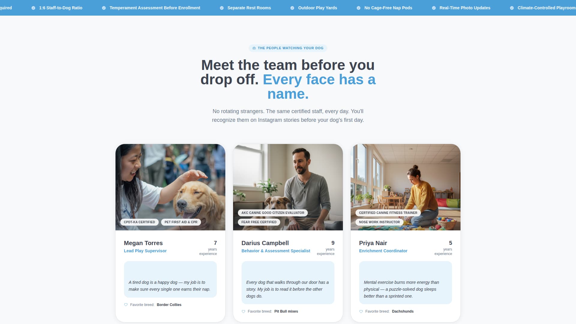 Fetch - Trusted Dogdaycare Landing Page Template