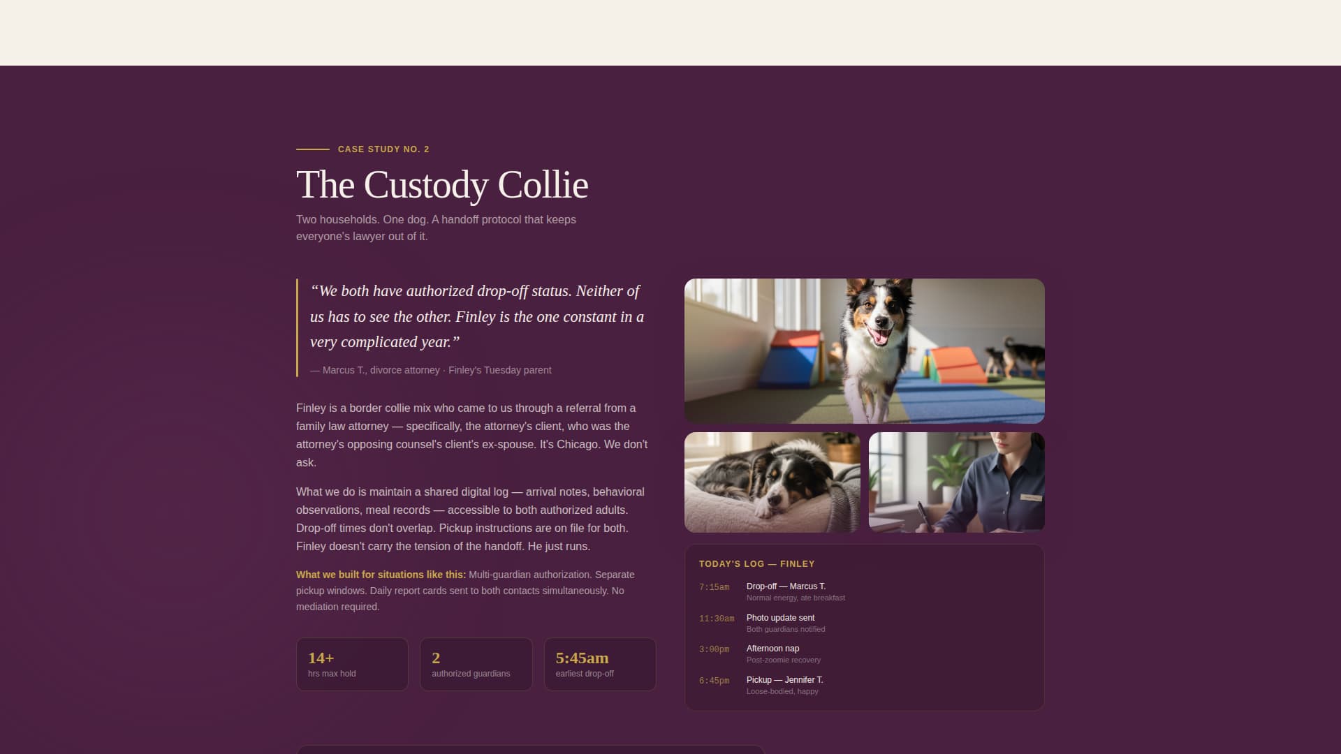 Kennel - Trusted Dogdaycare Landing Page Template