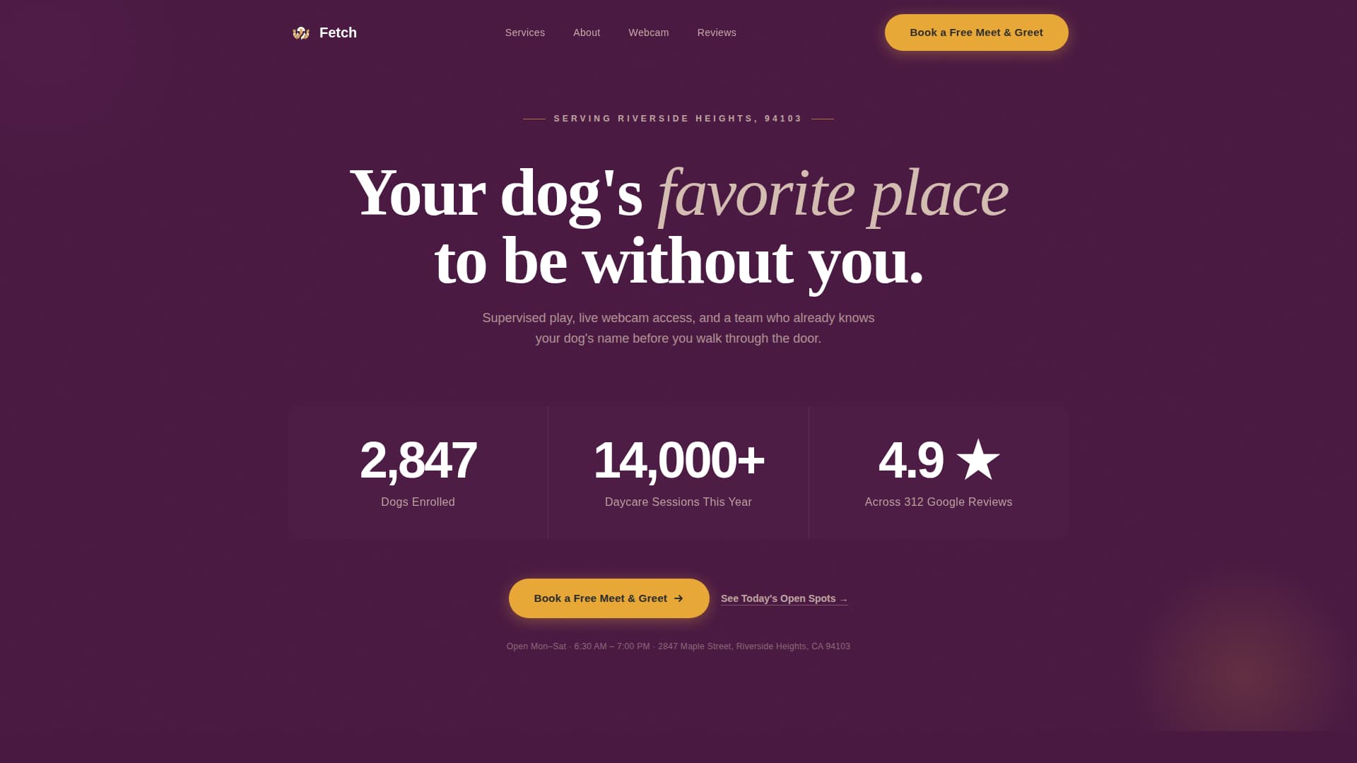 Fetch - Trusted Daycare Landing Page Template