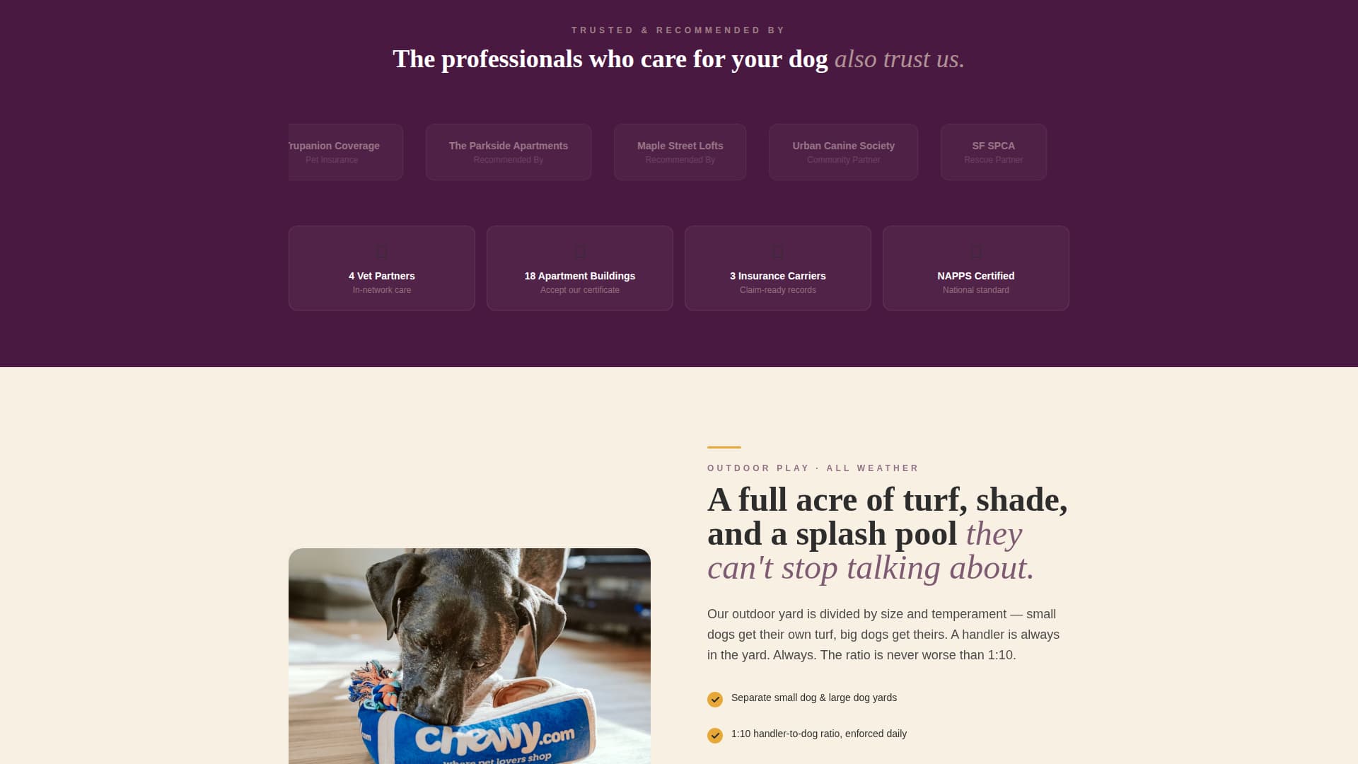 Fetch - Trusted Daycare Landing Page Template