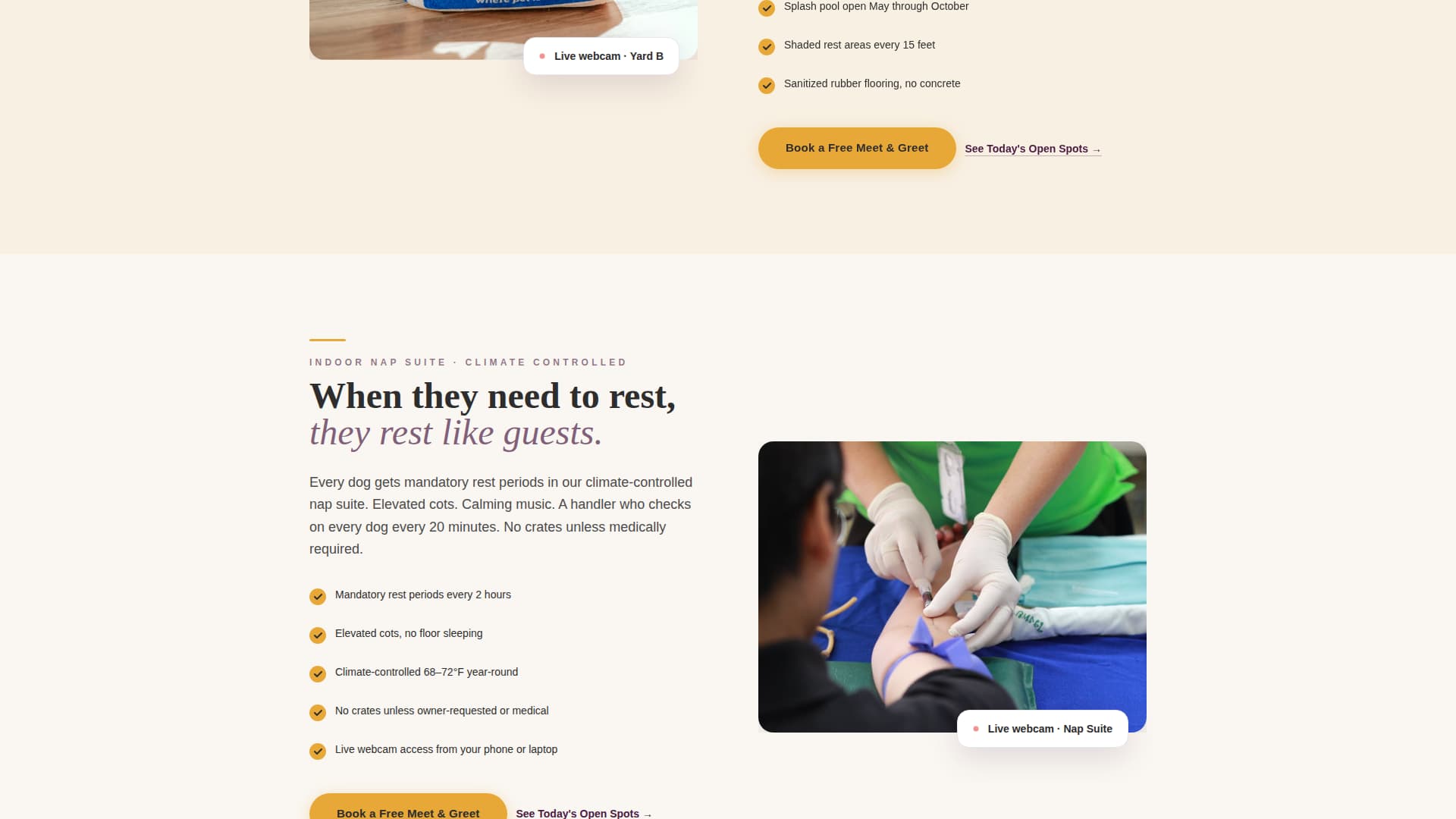 Fetch - Trusted Daycare Landing Page Template