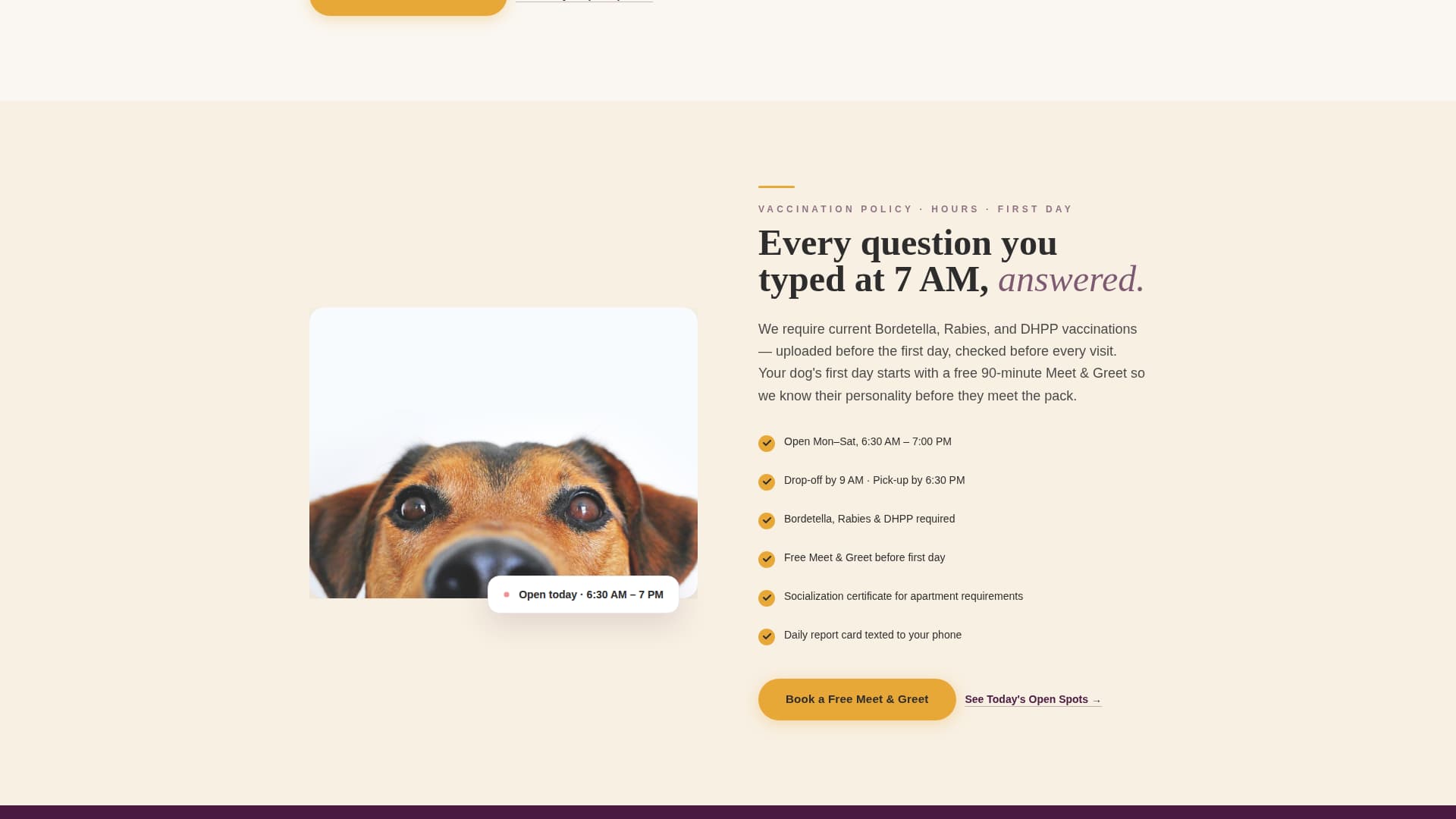 Fetch - Trusted Daycare Landing Page Template