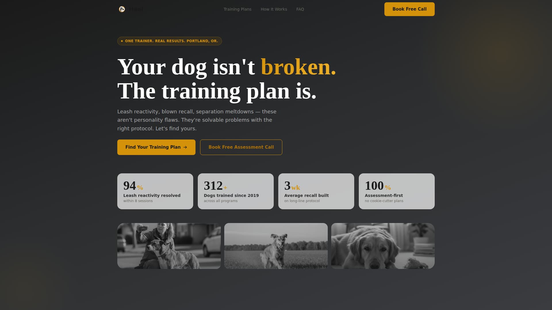 Heel - Proven Dogtraining Landing Page Template