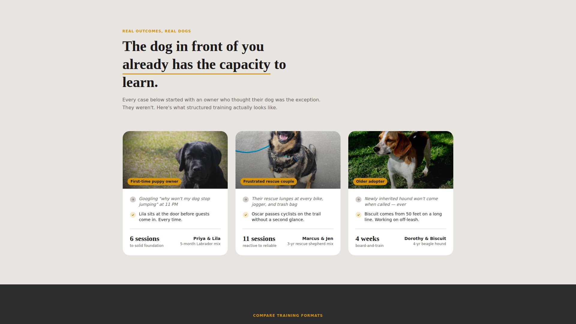 Heel - Proven Dogtraining Landing Page Template