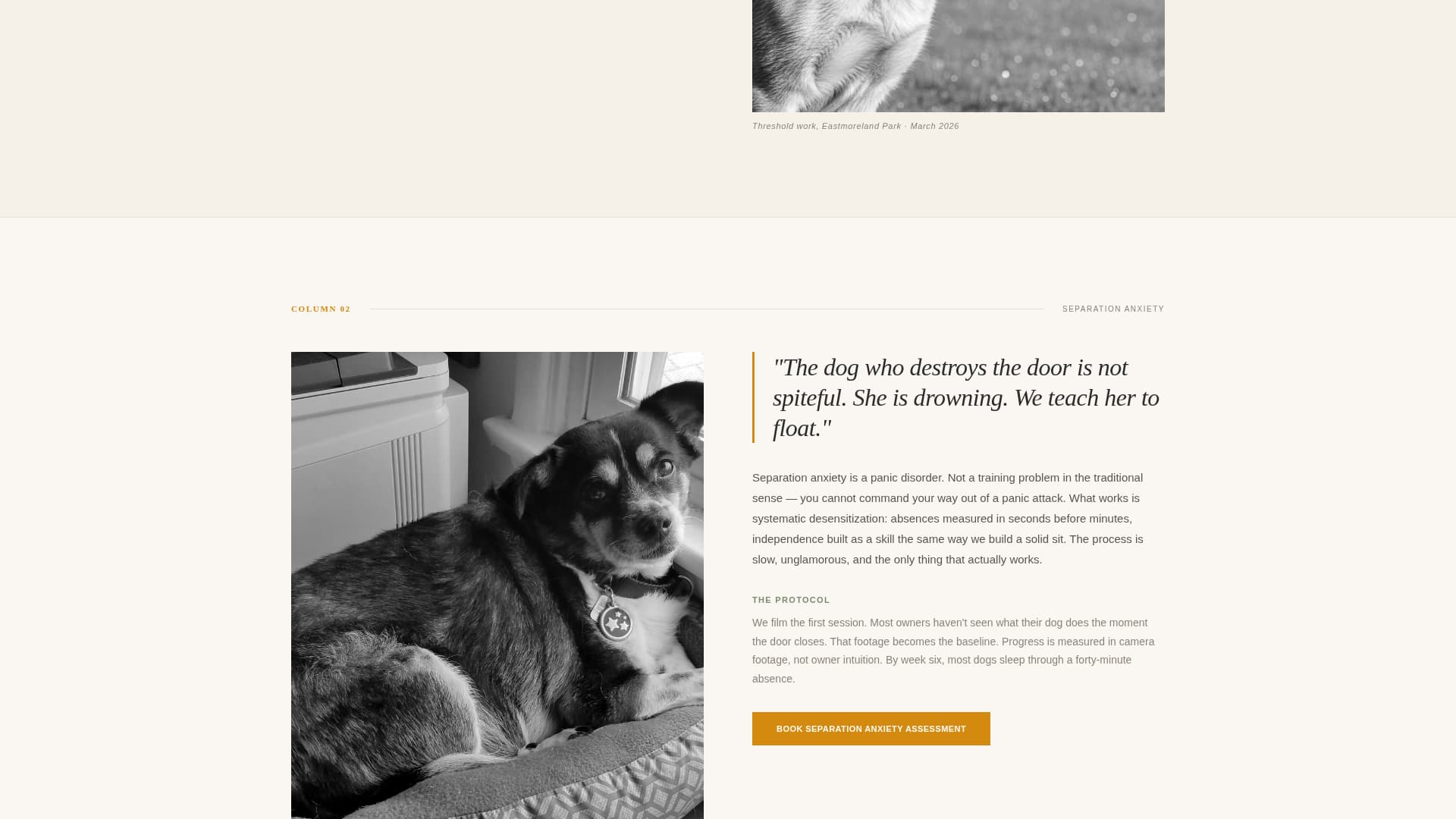 Heel - Authoritative Dogtrainer Landing Page Template