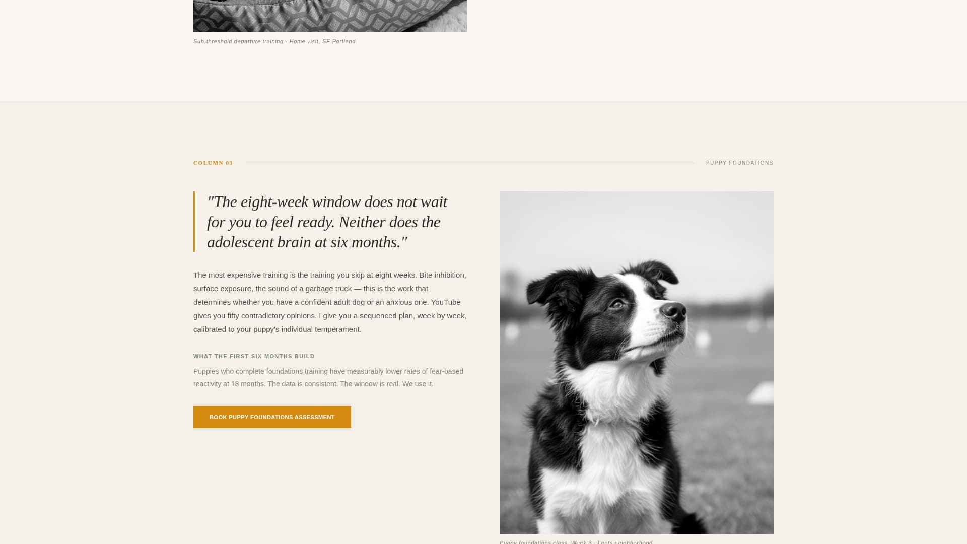 Heel - Authoritative Dogtrainer Landing Page Template