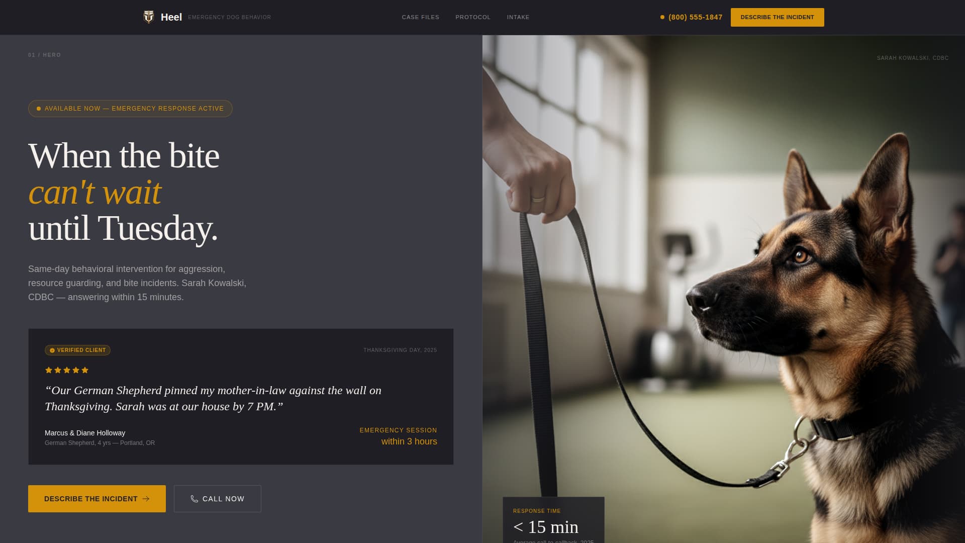 Heel - Urgent Trainer Landing Page Template