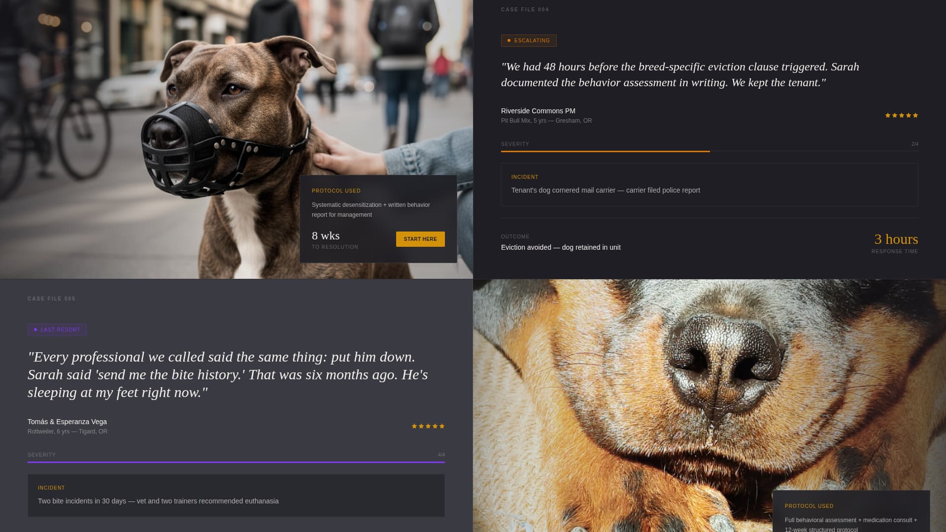 Heel - Urgent Trainer Landing Page Template