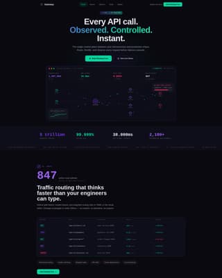 Developer Tools & API Professional Website Template