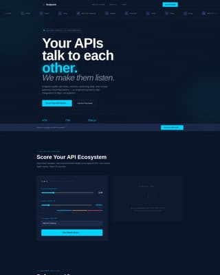 API Management Technology Booking Website Template