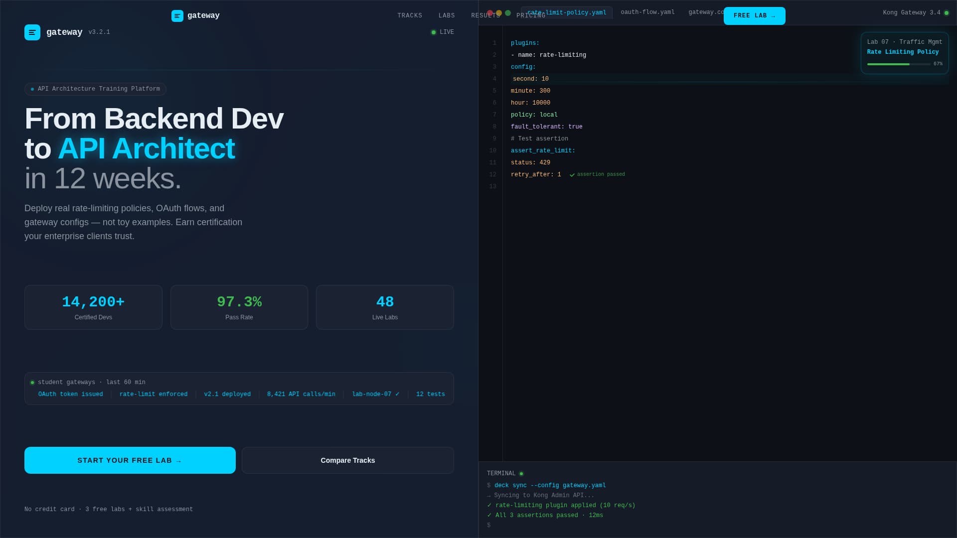 API Management Technology Professional Website Template