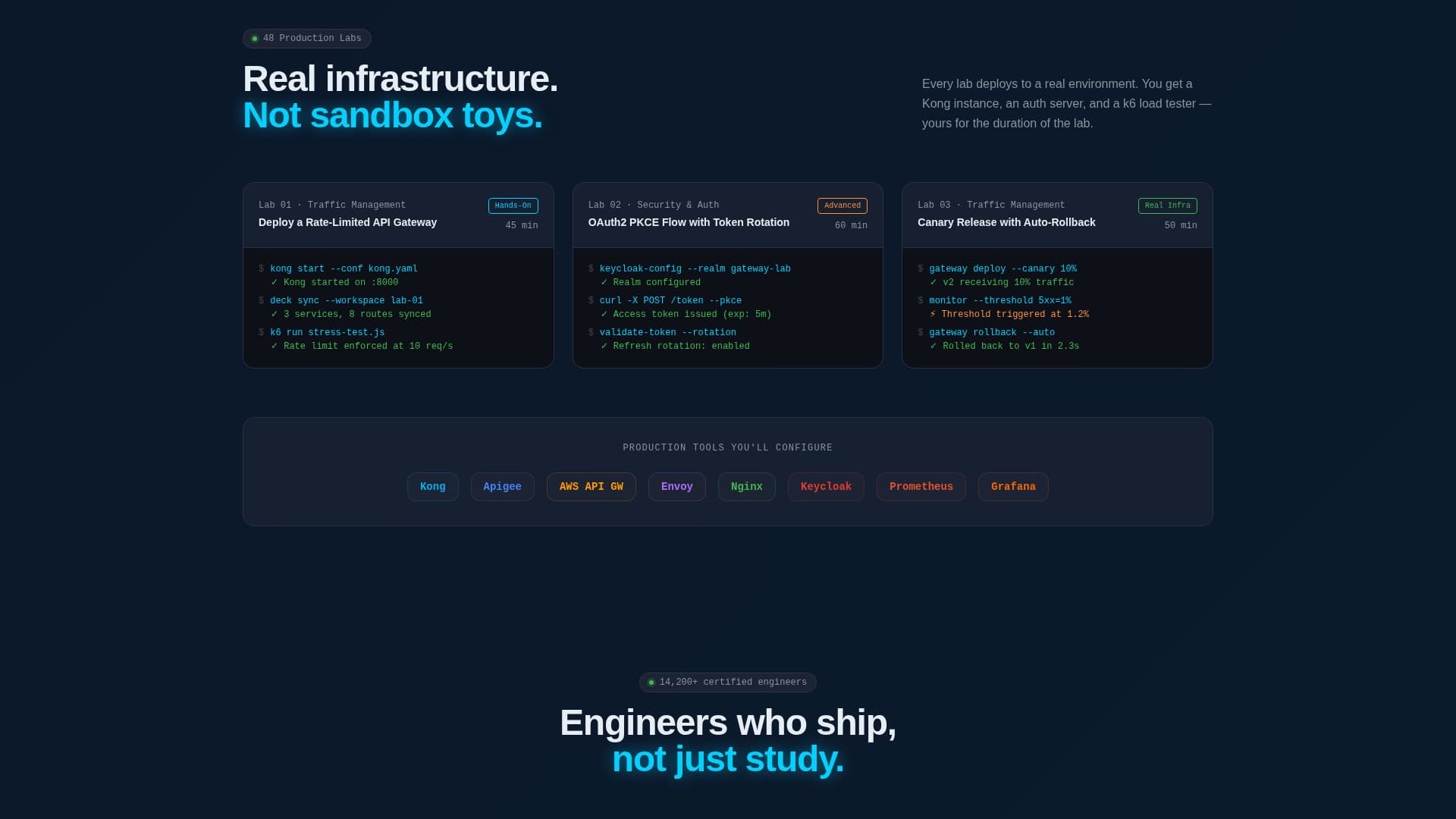API Management Technology Professional Website Template
