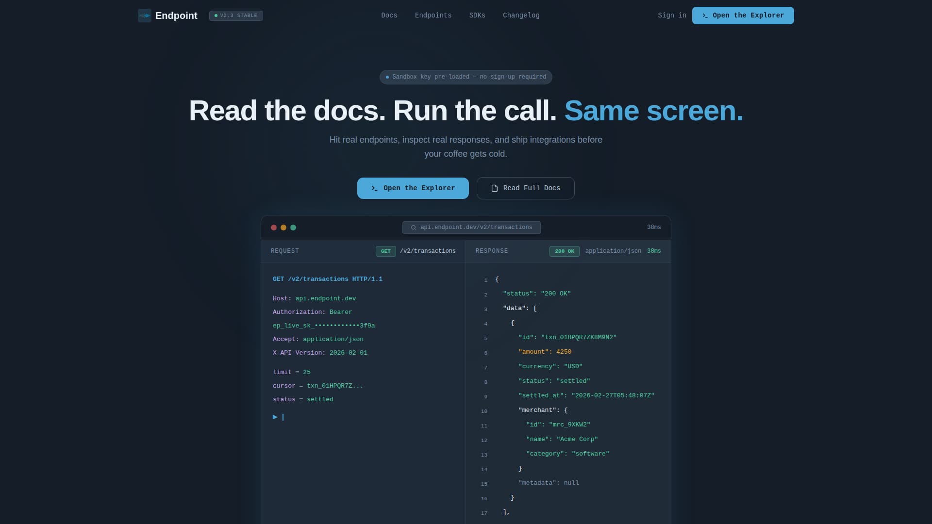 API Documentation Professional Website Template