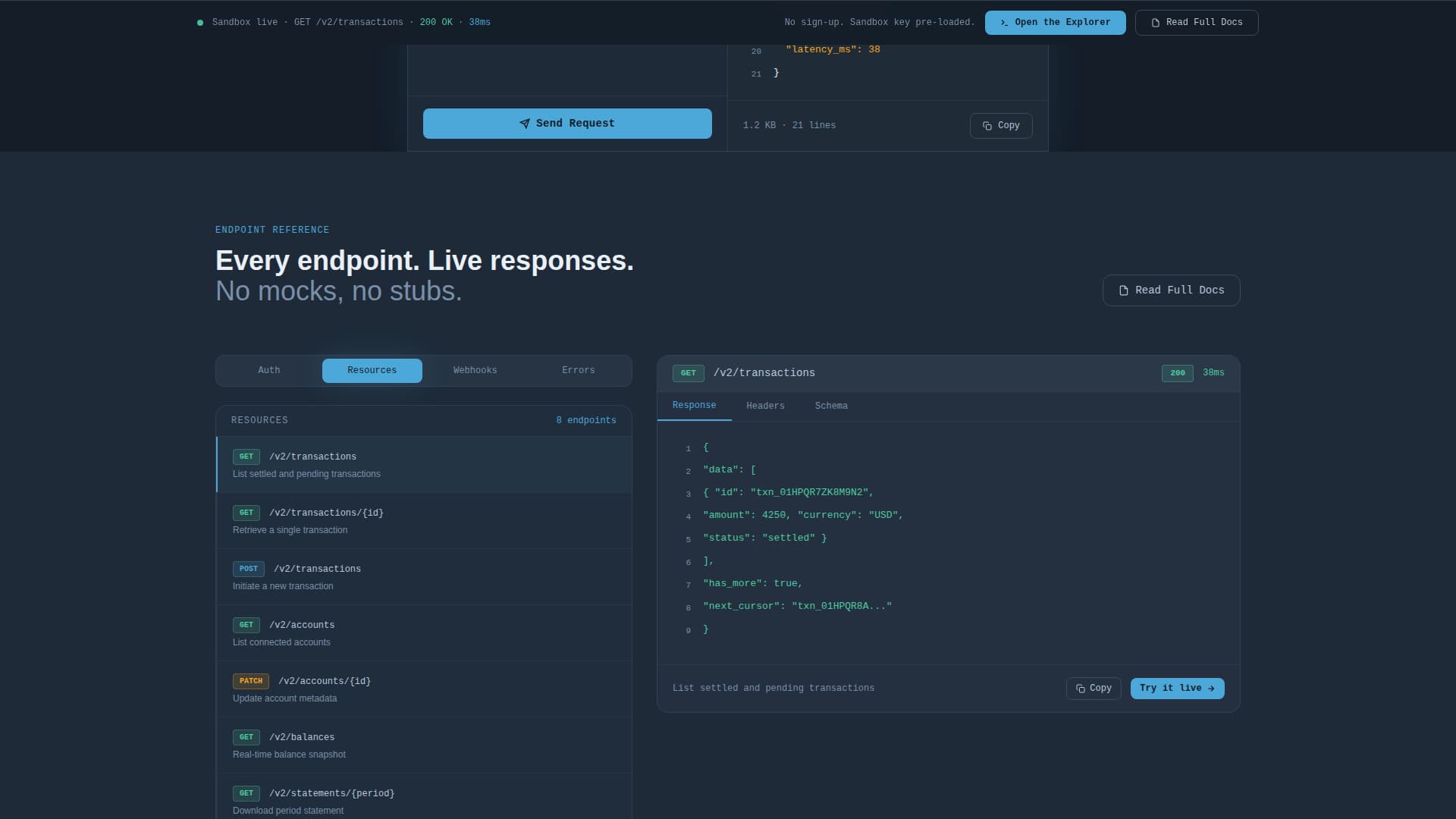 API Documentation Professional Website Template