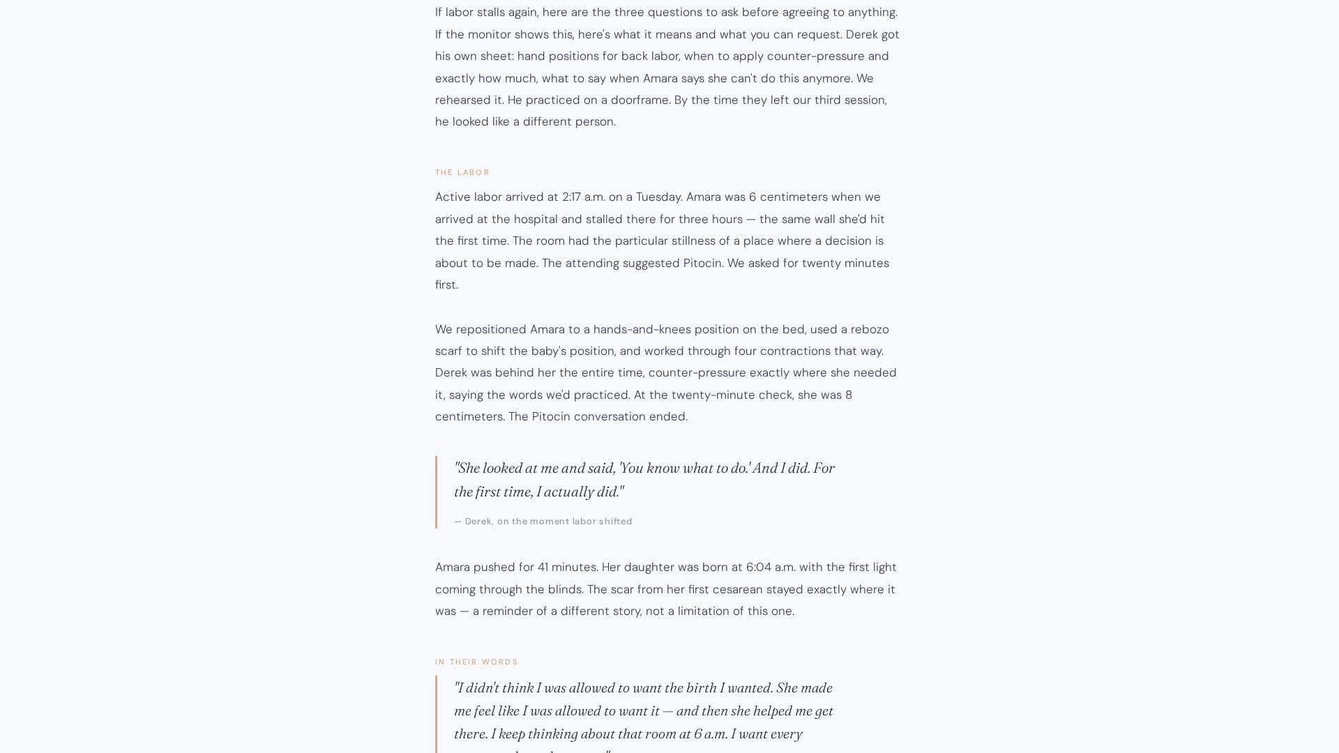 Witness - Trusted Doula Landing Page Template