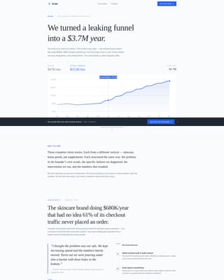E-Commerce Consulting Portfolio Website Template