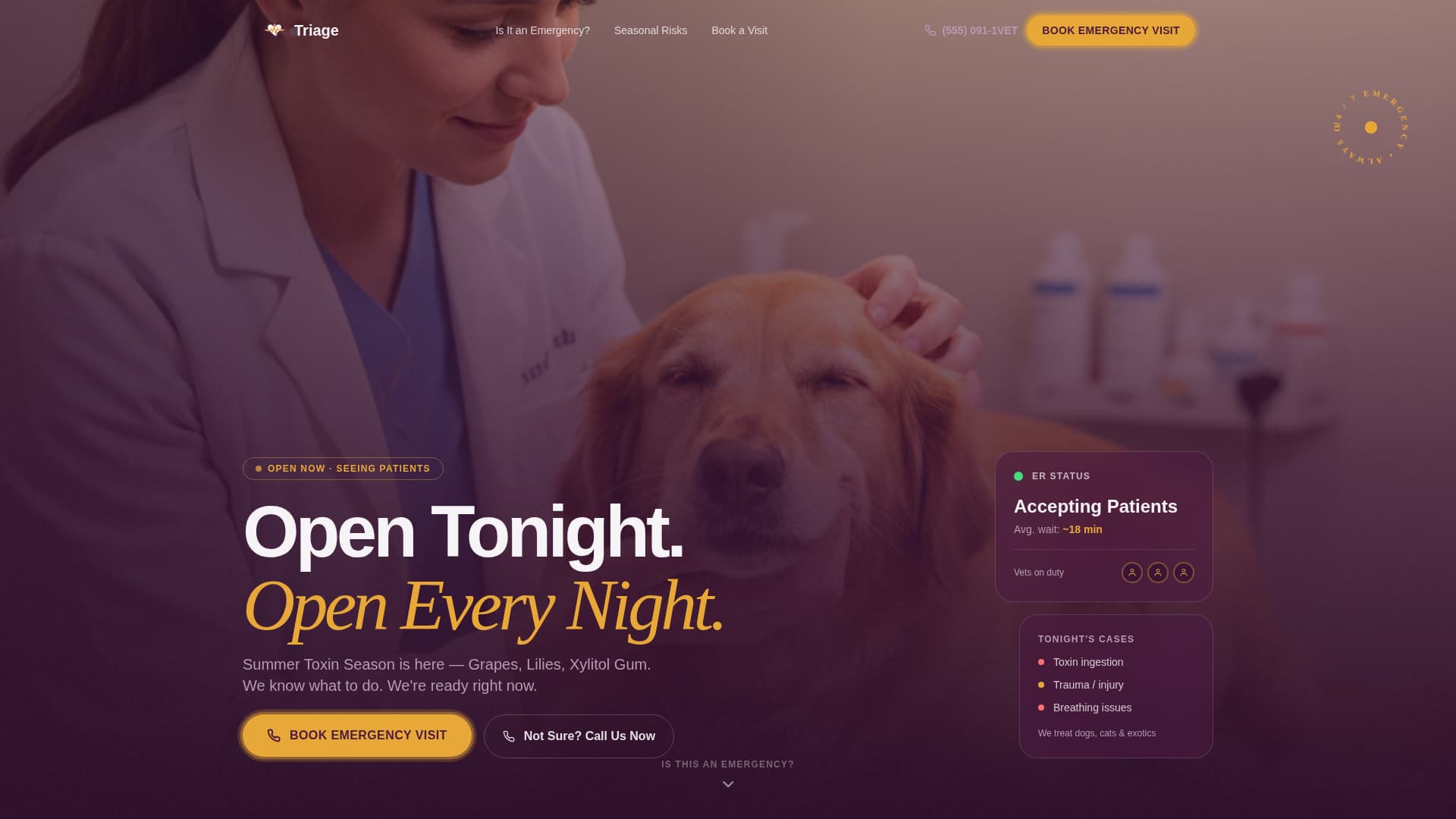 Triage - Urgent Veterinary Landing Page Template