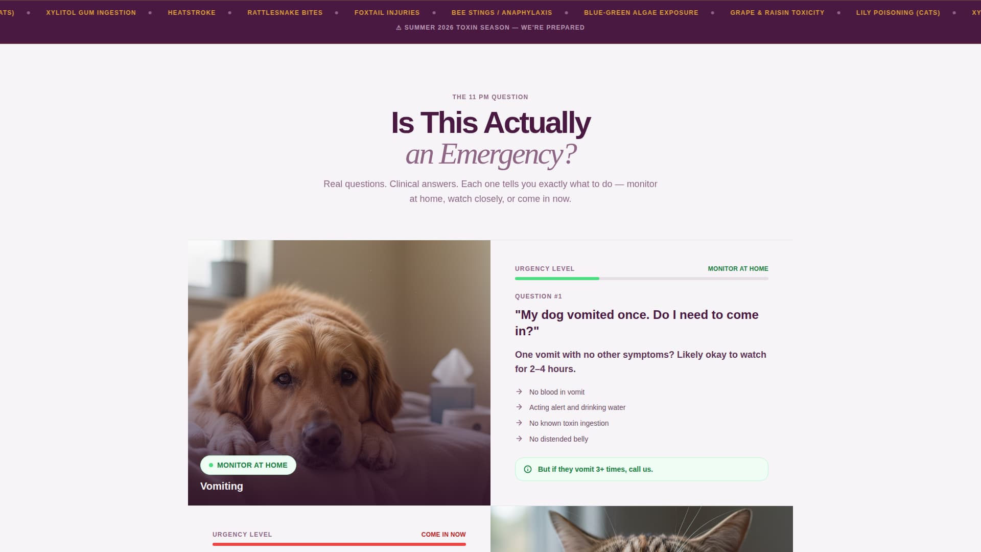 Triage - Urgent Veterinary Landing Page Template