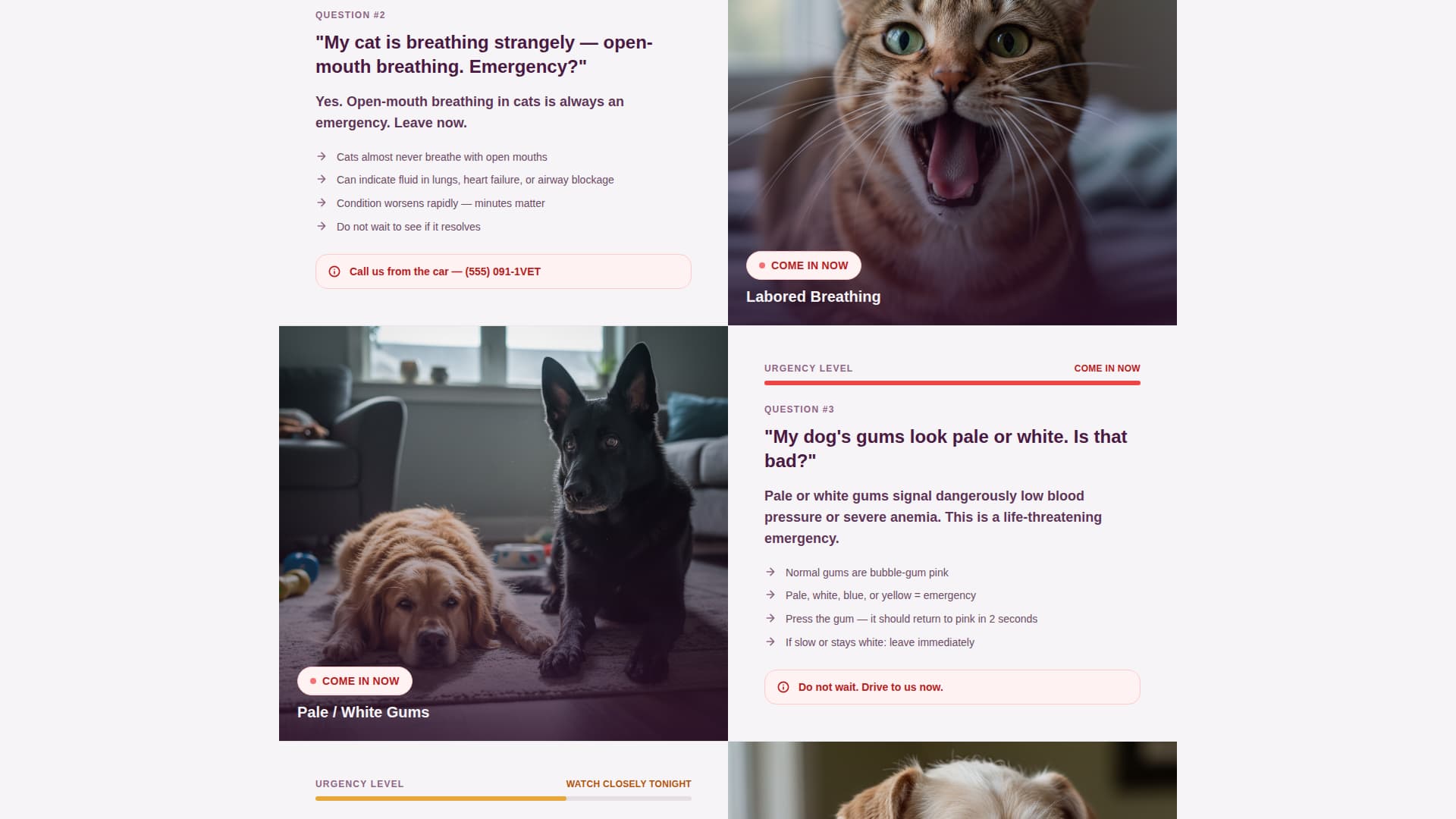 Triage - Urgent Veterinary Landing Page Template