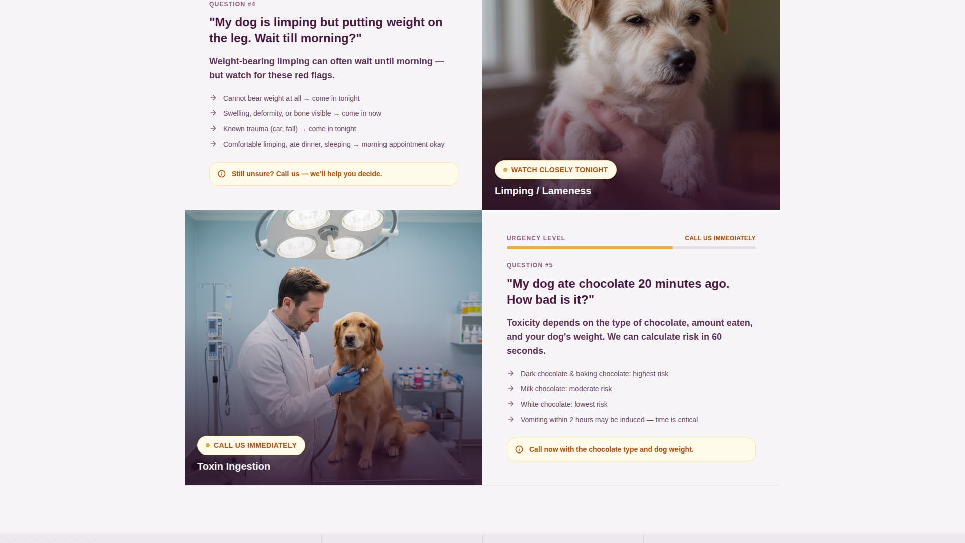 Triage - Urgent Veterinary Landing Page Template