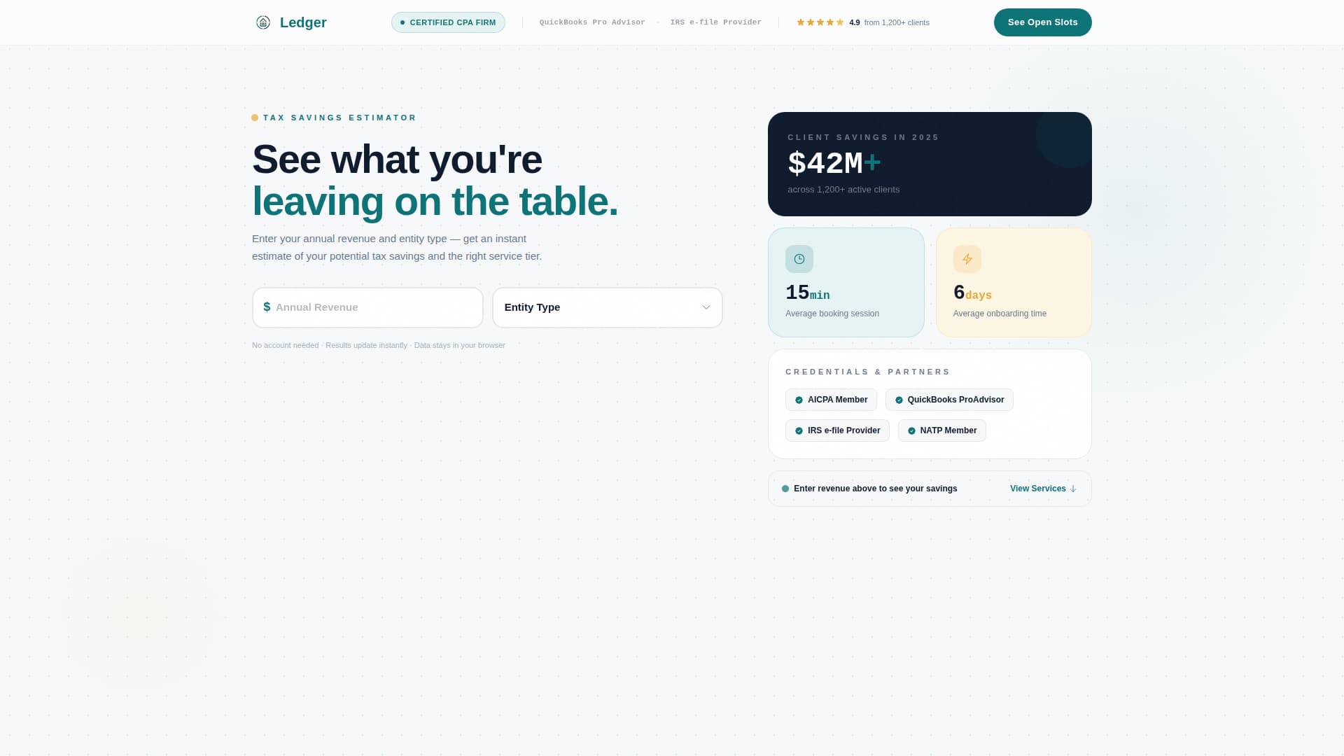 Accounting Firm Software Specialist Booking Website Template