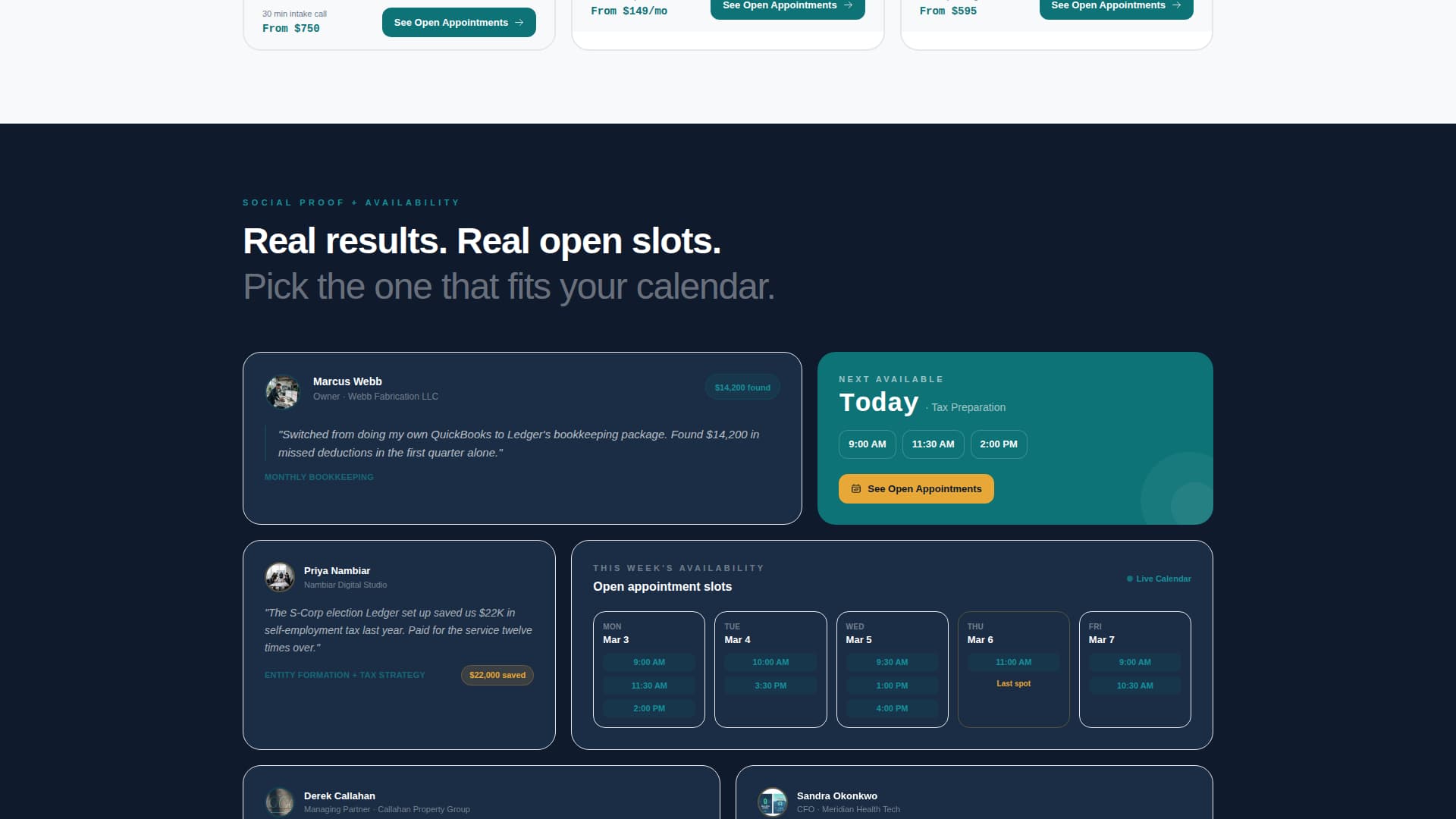 Accounting Firm Software Specialist Booking Website Template