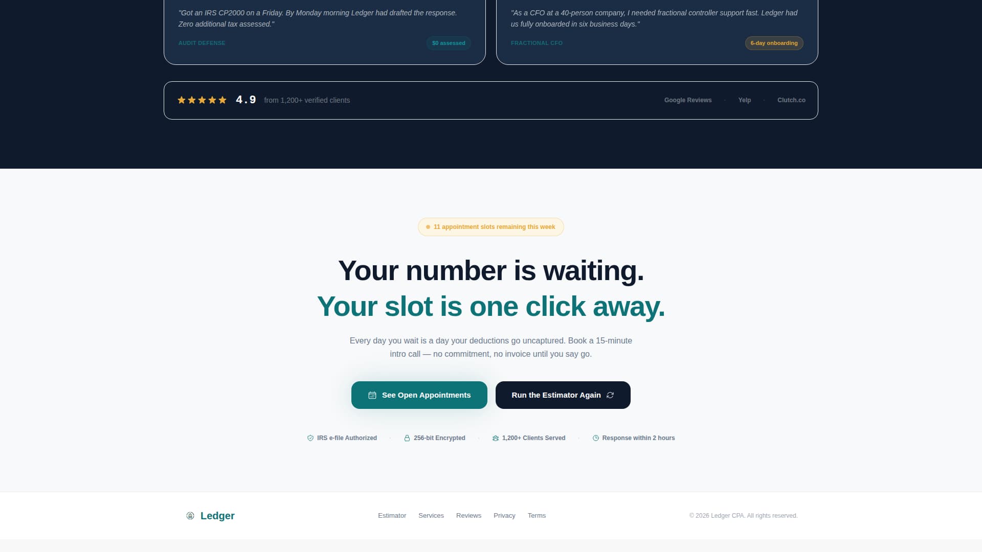 Accounting Firm Software Specialist Booking Website Template