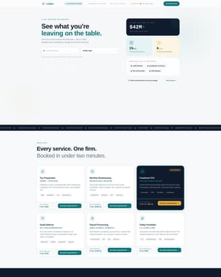 Accounting Firm Software Specialist Booking Website Template