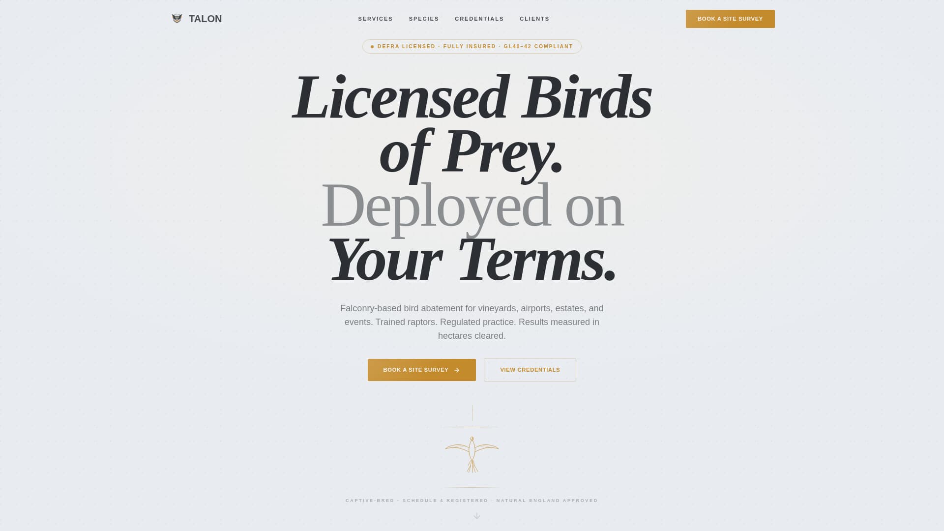 Falconer Booking Website Template