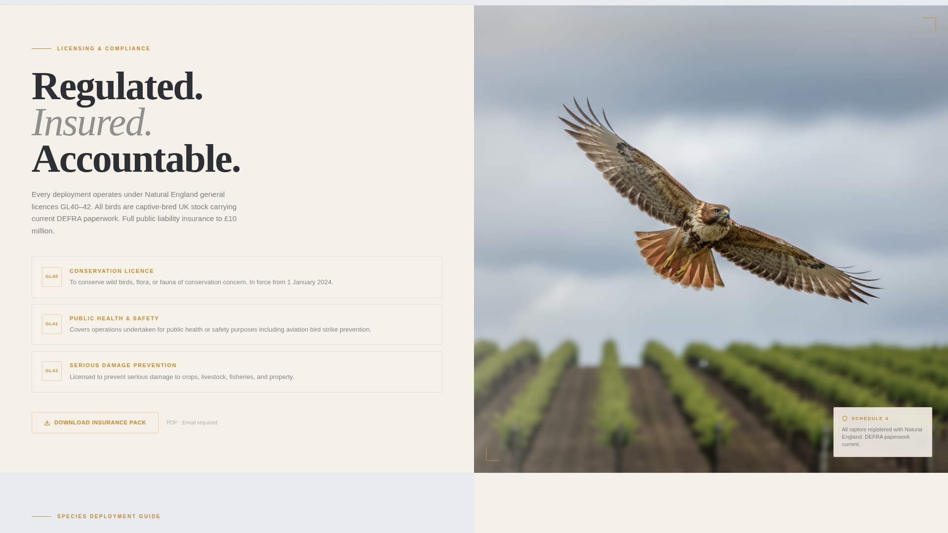 Falconer Booking Website Template