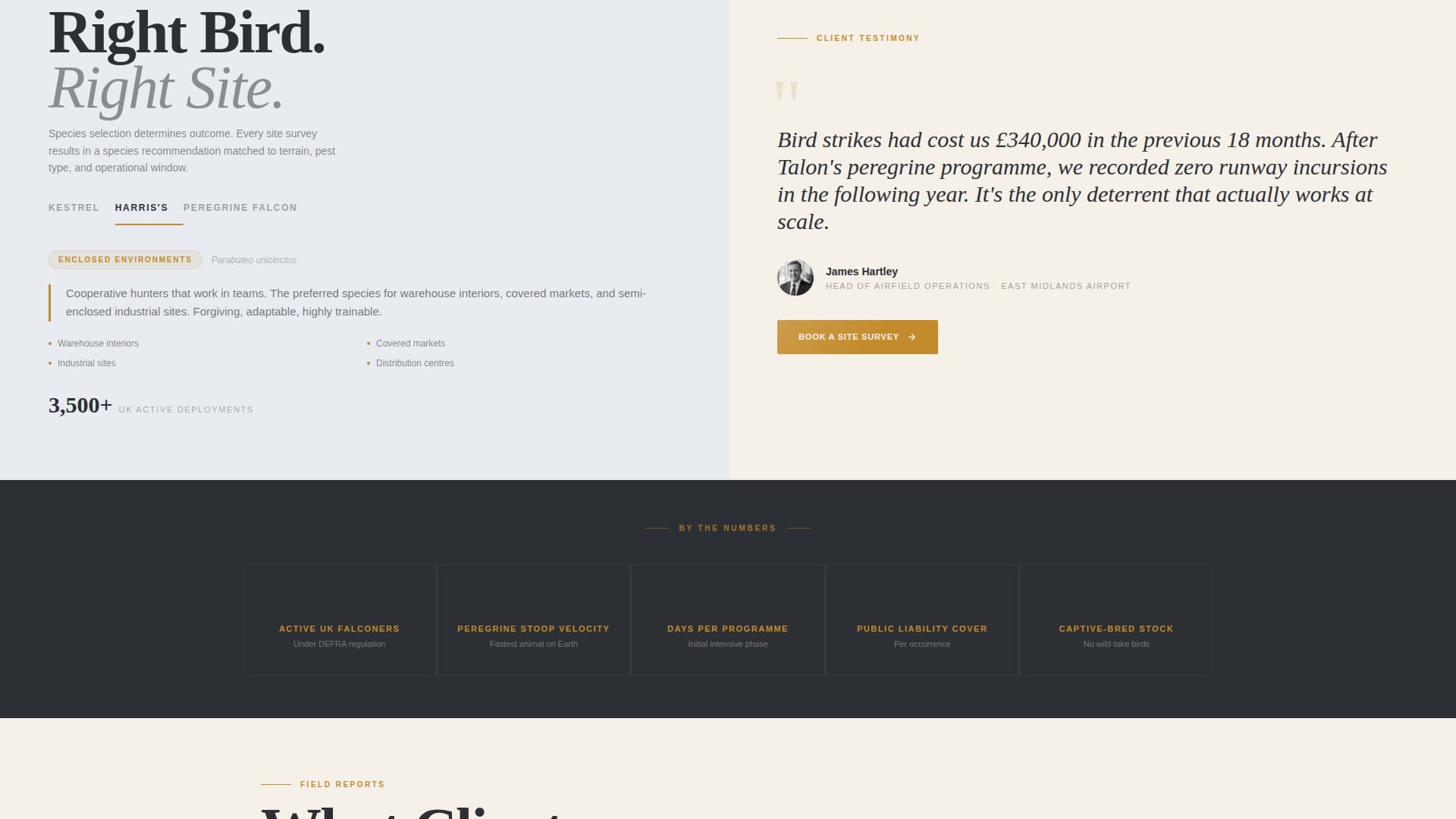 Falconer Booking Website Template