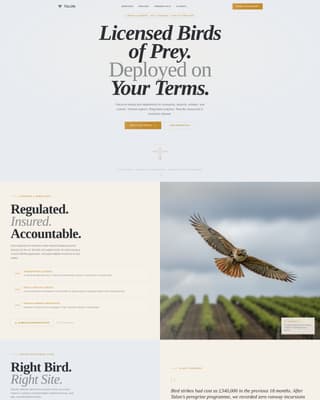 Falconer Booking Website Template