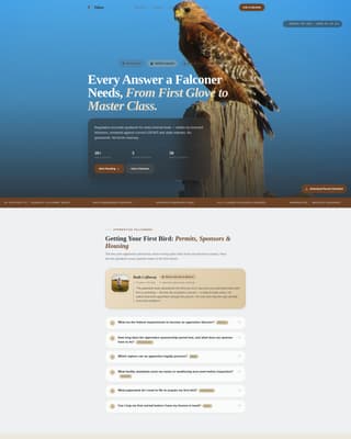 Falconer FAQ Website Template