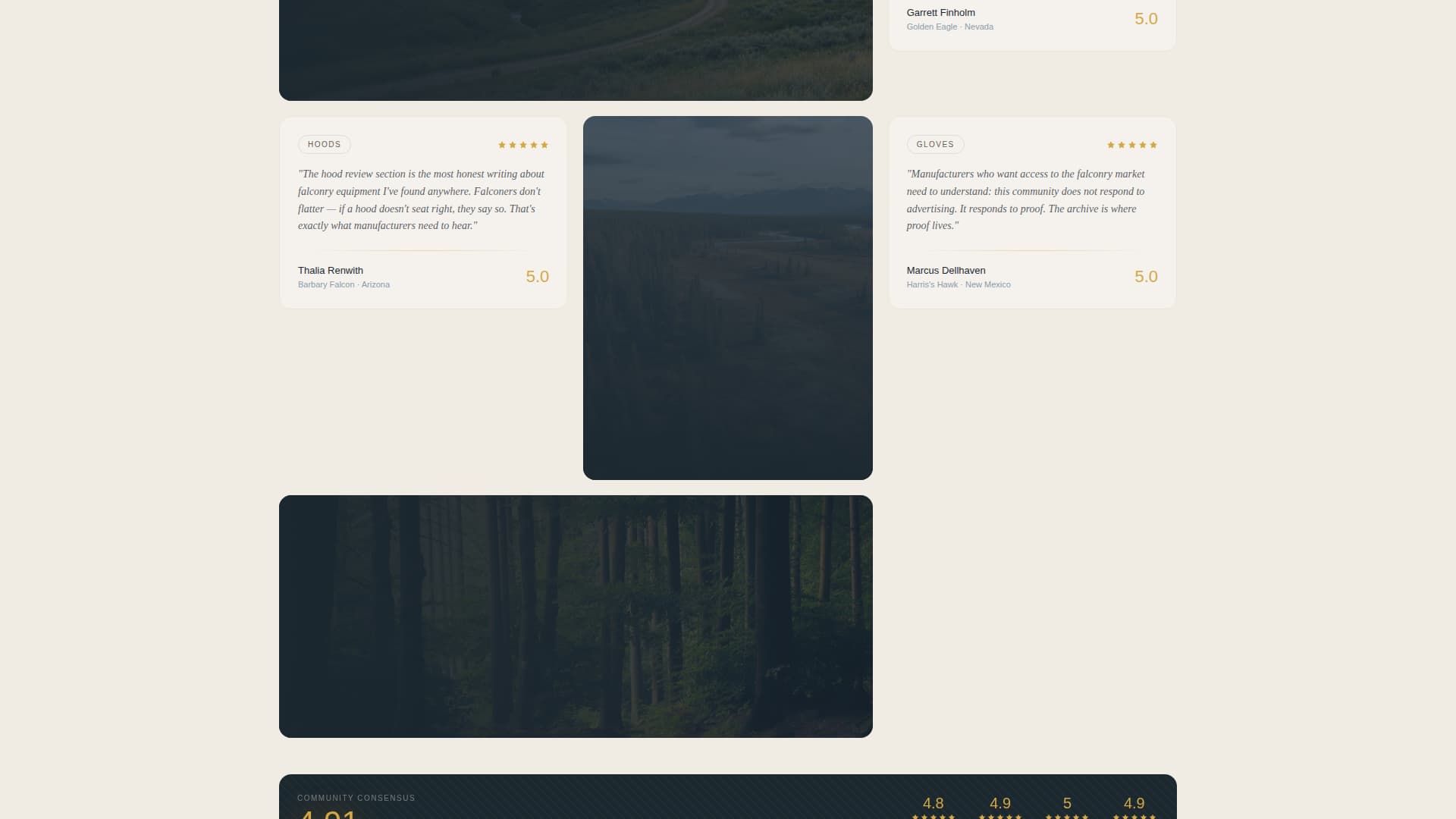 Falconer Reviews Website Template