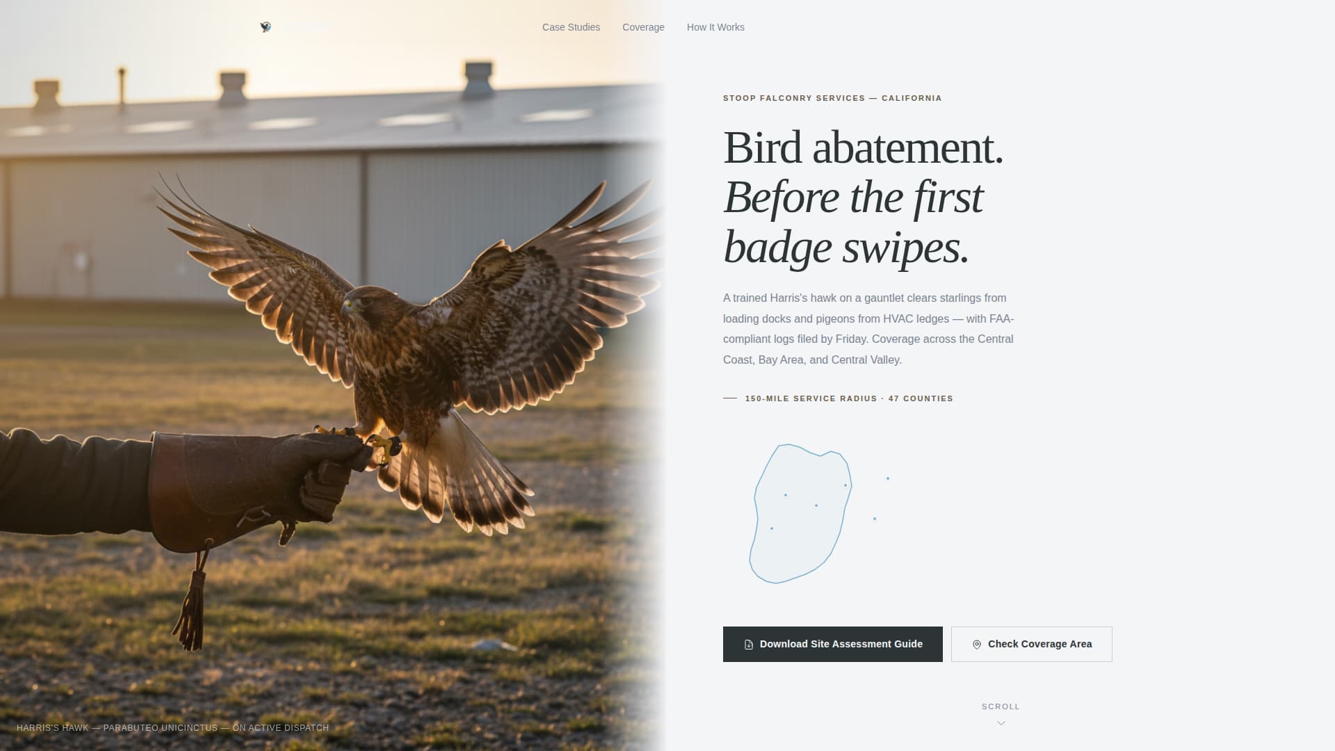 Falconer Directory Website Template