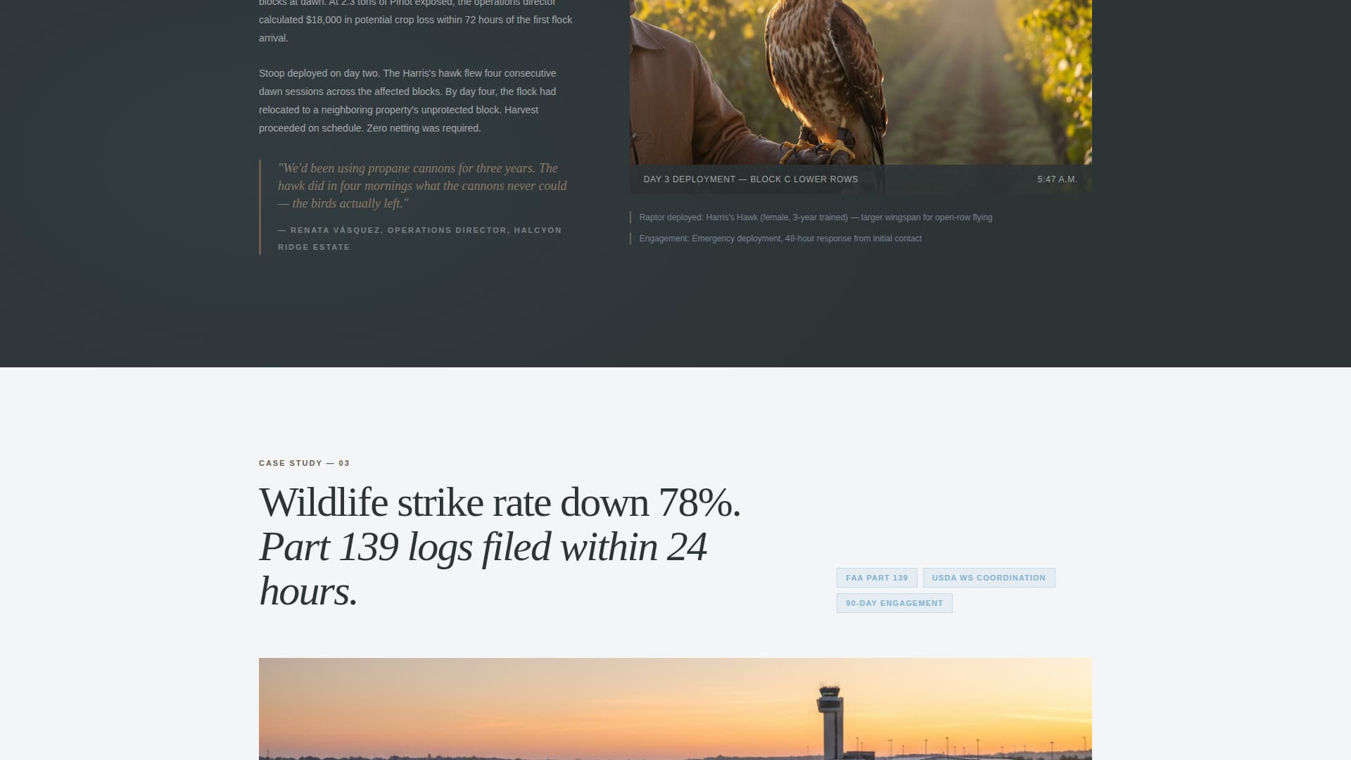 Falconer Directory Website Template