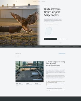 Falconer Directory Website Template