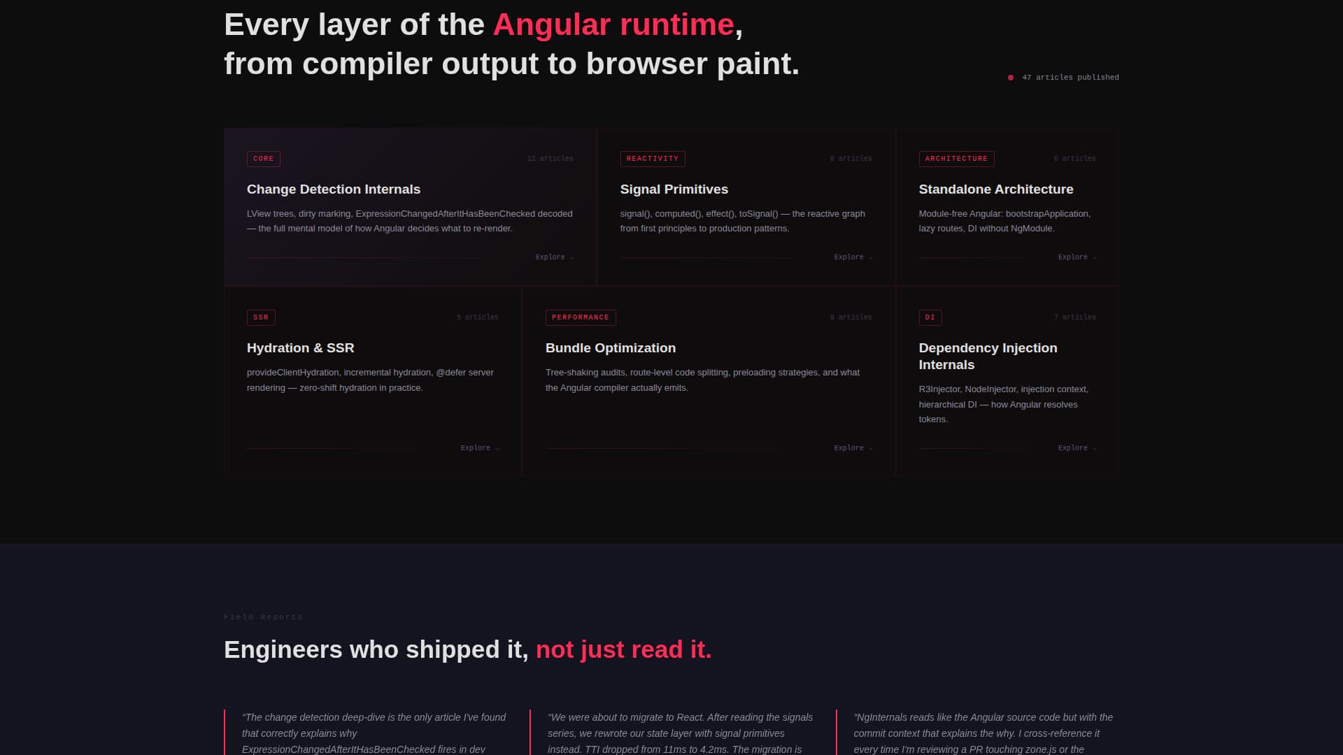 Developer Documentation Blog Website Template