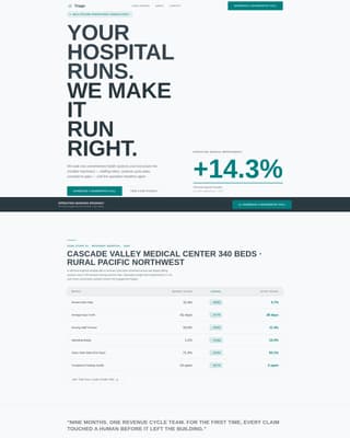 Triage - Precision Healthcare Landing Page Template