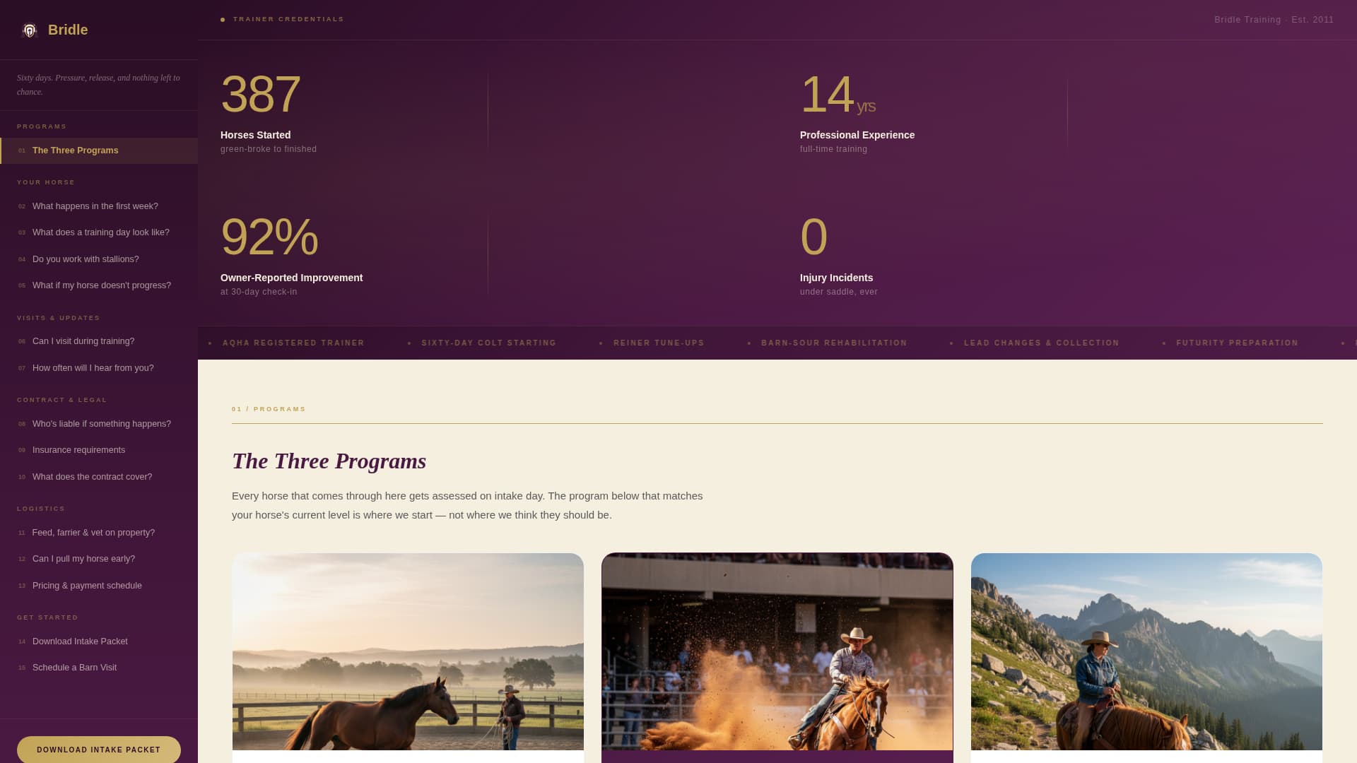 Bridle - Authoritative Trainer Landing Page Template
