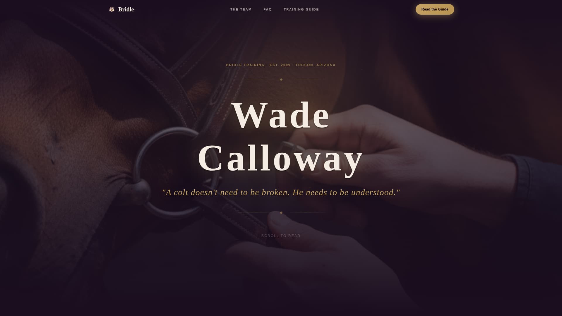Bridle - Authoritative Equestrian Landing Page Template
