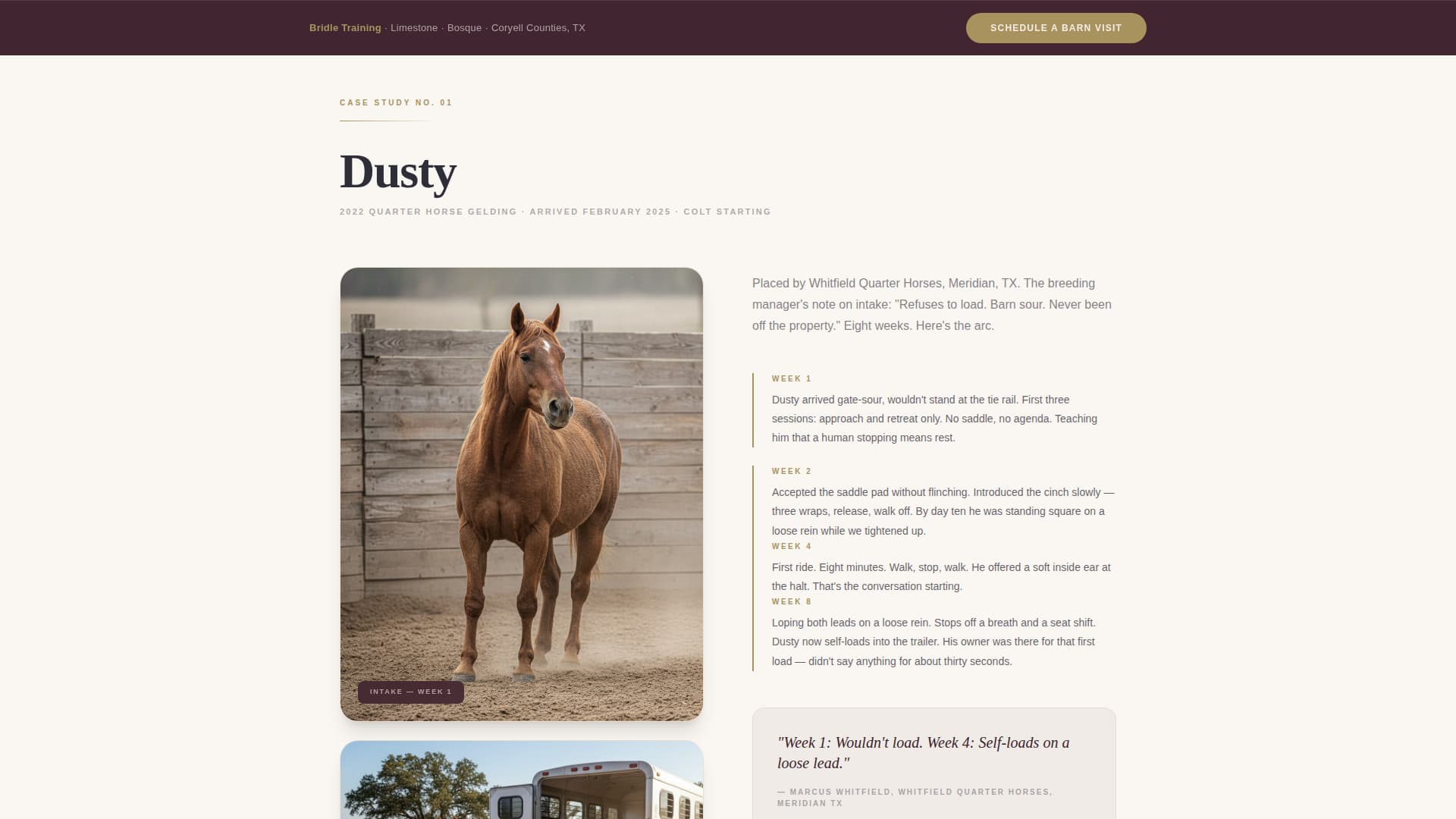 Bridle - Precision Equestrian Landing Page Template
