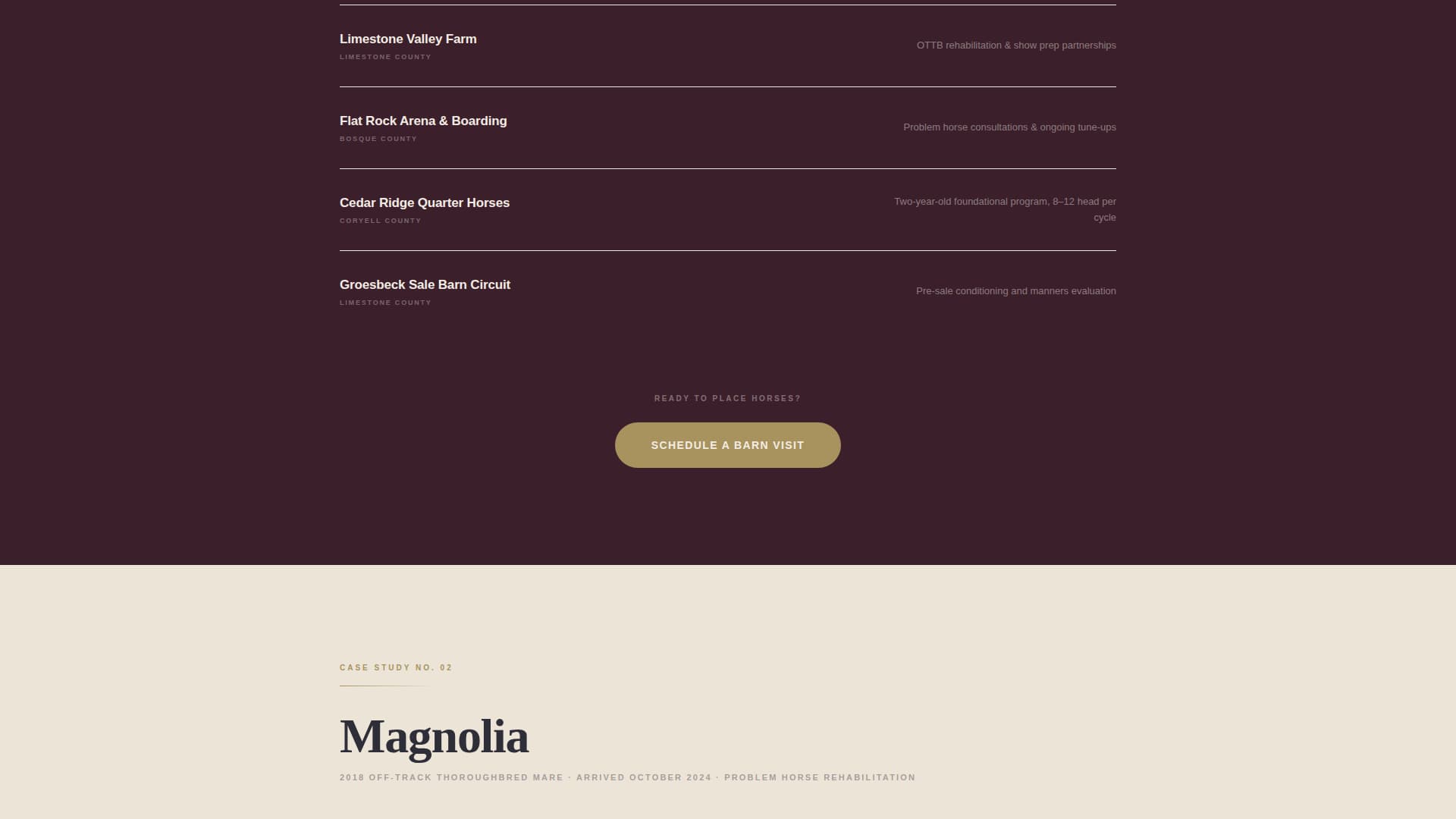 Bridle - Precision Equestrian Landing Page Template