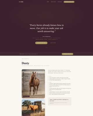 Bridle - Precision Equestrian Landing Page Template