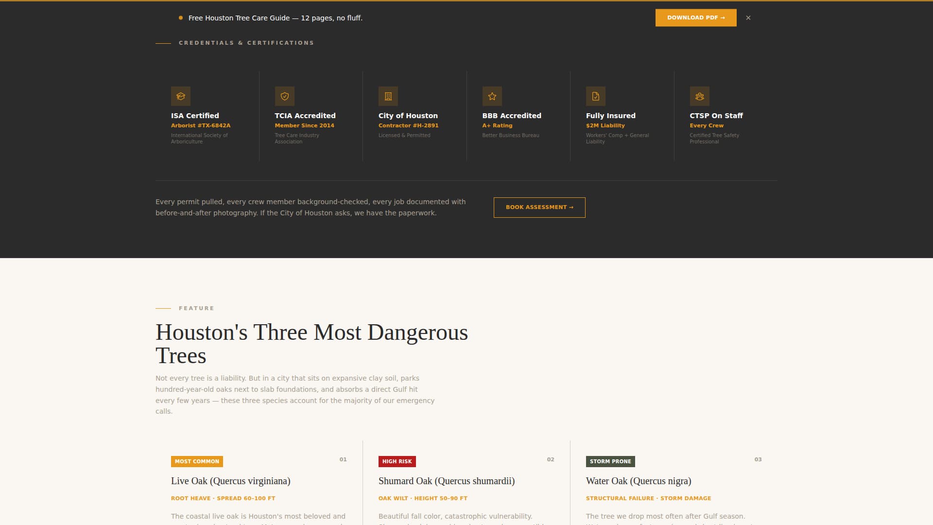 Canopy — Licensed Tree Removal Landing Page Template