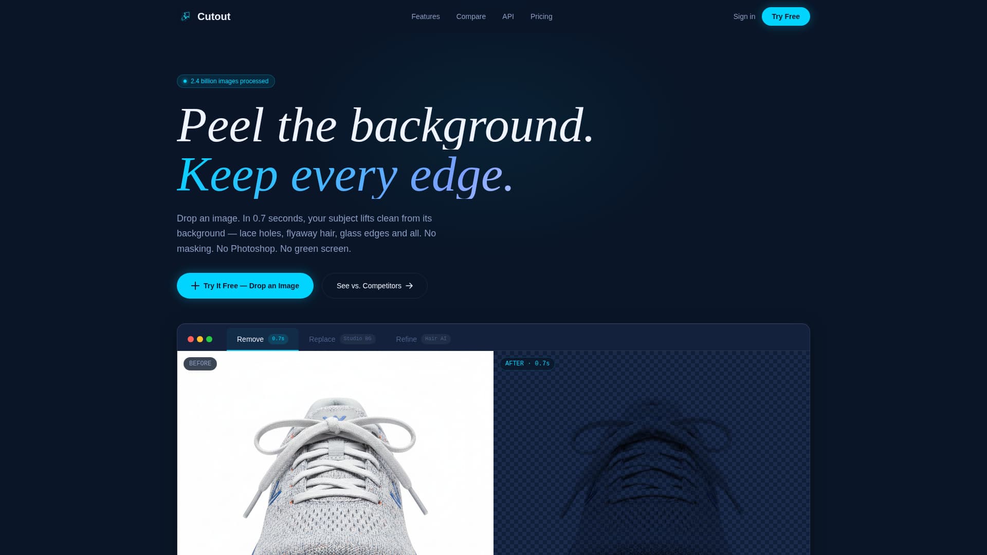Micro-SaaS & Developer Tools Professional Website Template