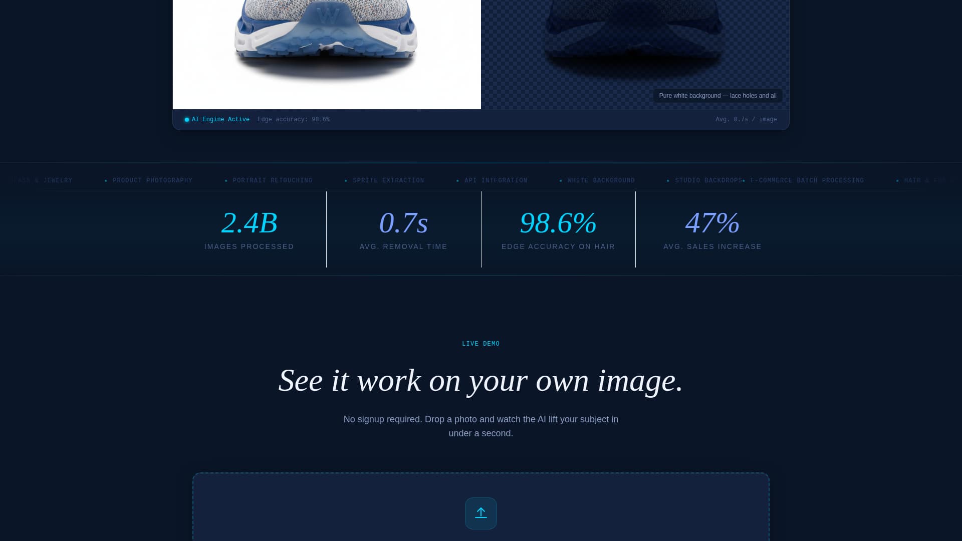 Micro-SaaS & Developer Tools Professional Website Template